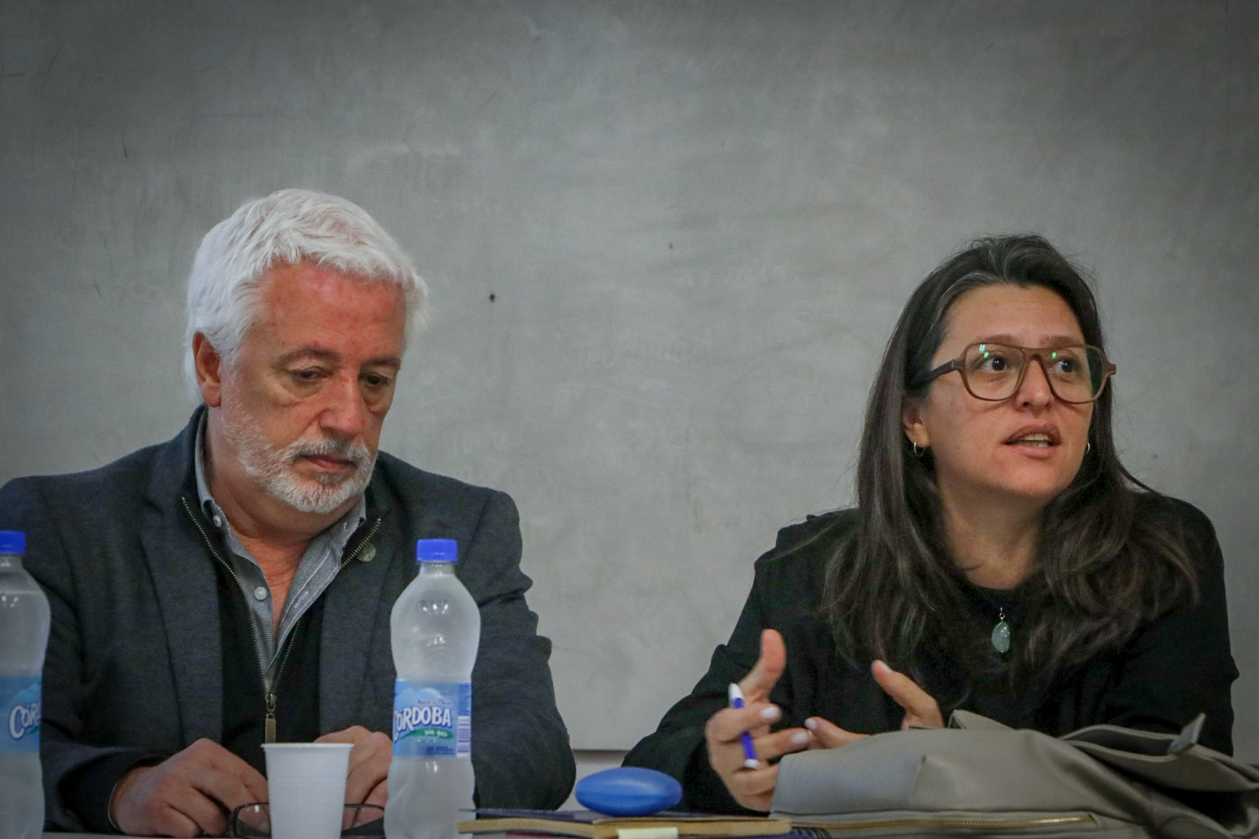 Investigación fau